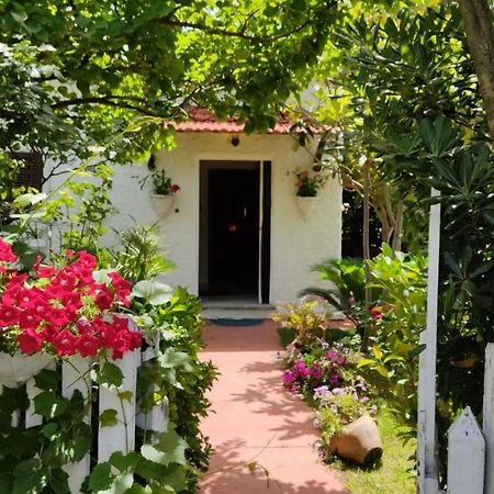 La Corte Delle Rose B&B Praia a Mare Kültér fotó