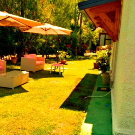 La Corte Delle Rose B&B Praia a Mare Kültér fotó