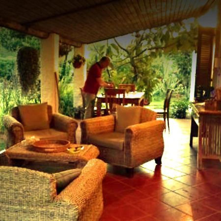 La Corte Delle Rose B&B Praia a Mare Kültér fotó