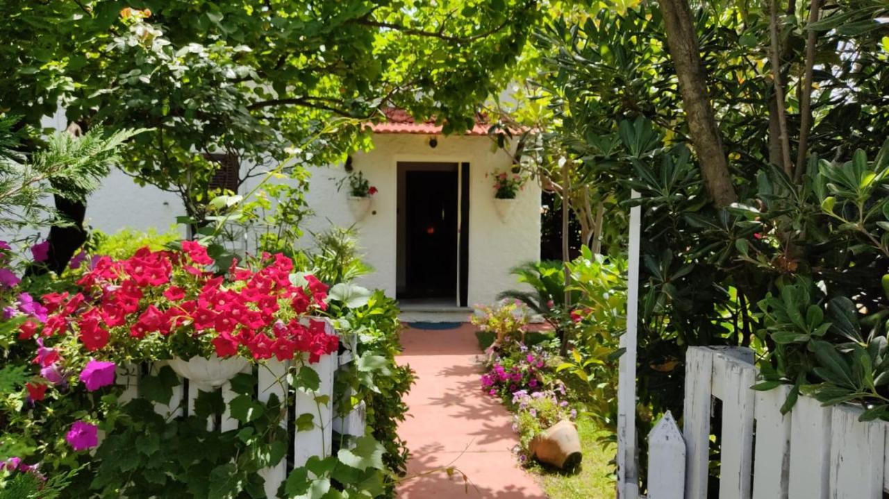 La Corte Delle Rose B&B Praia a Mare Kültér fotó