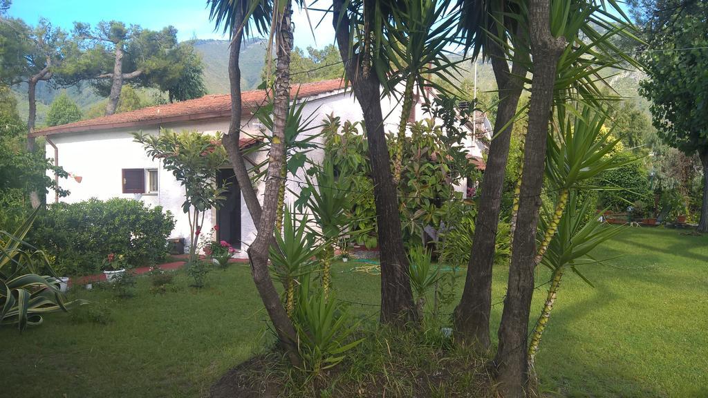 La Corte Delle Rose B&B Praia a Mare Kültér fotó