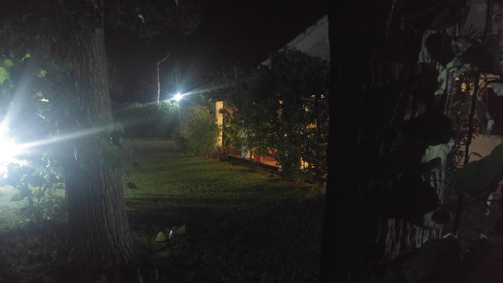 La Corte Delle Rose B&B Praia a Mare Kültér fotó